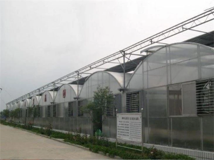 Hydroponic Systems Greenhouse