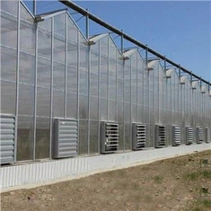 Nhà kính Polycarbonate Venlo Trung Quốc với hệ thống tưới tiêu