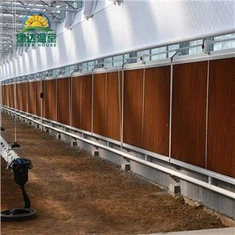 Tấm màn nước làm mát