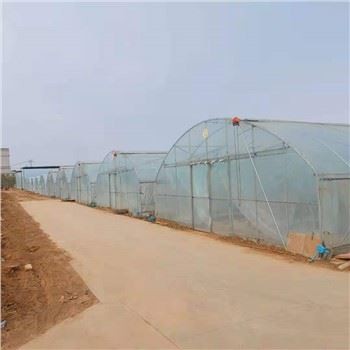 Phim nhà kính một dải
