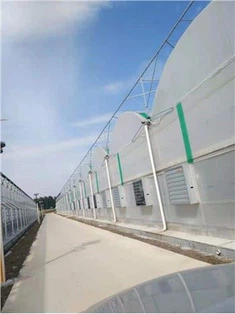 Nhà kính với hệ thống làm mát