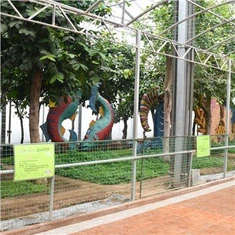Nhà kính trồng trọt