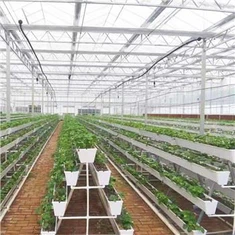 Nhà kính thủy canh với Máng trồng cây PVC
