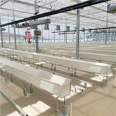 Máng xối trồng thủy canh