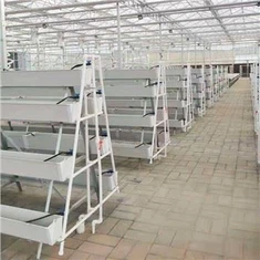 Canh tác theo phương thẳng đứng trong thủy canh