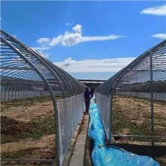 Nhà kính phim Singlespan