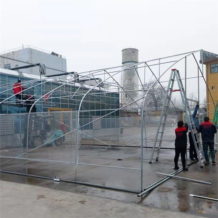Sawtooth Greenhouse For Tropical Area With Roof Ventilation System