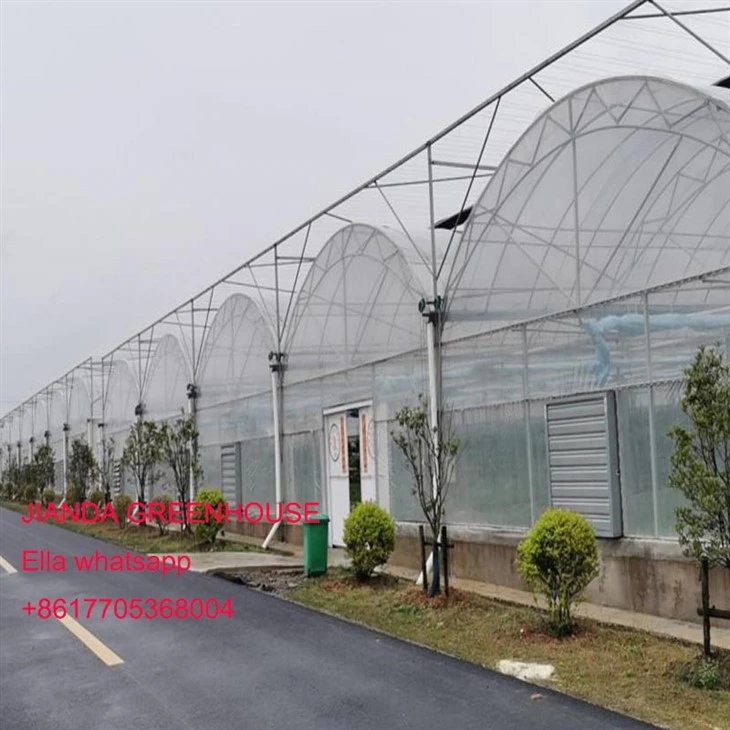 nhà kính nông nghiệp