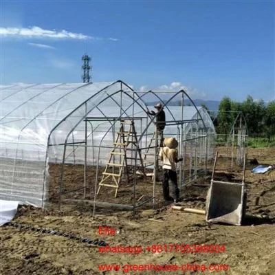 nhà kính năng lượng mặt trời
